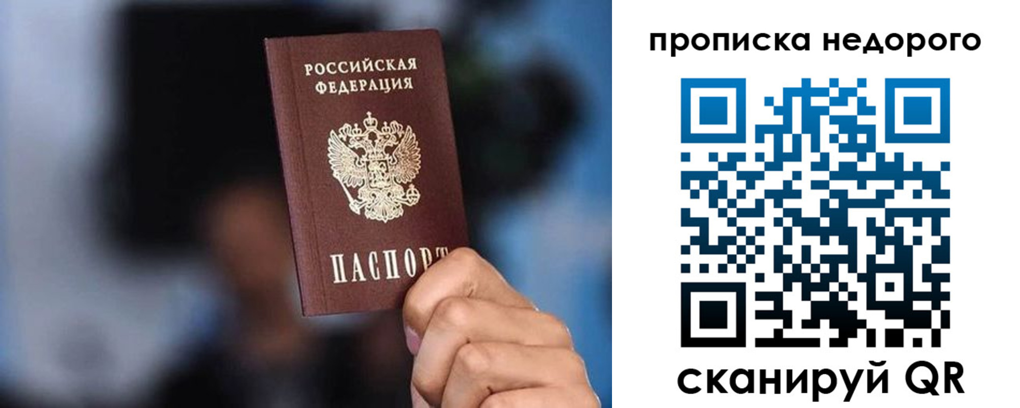временная регистрация поиск в Полярном